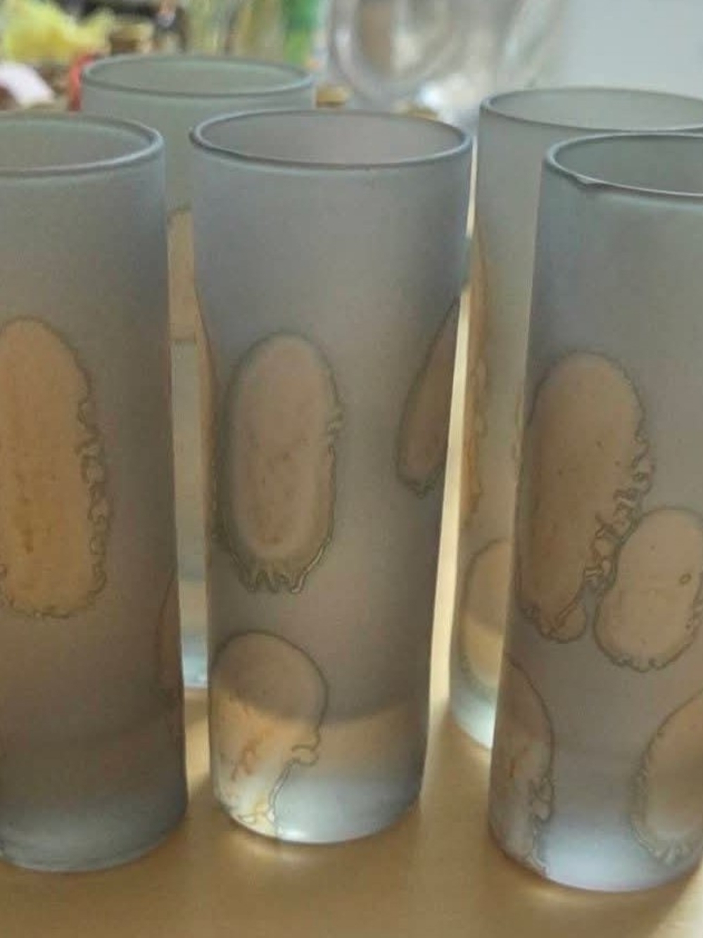 Reuven Art Glass Tall Frosted Shot Glasses (Set of 5)